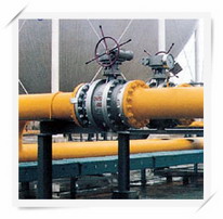 天燃气输配公司