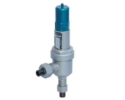 A61Y弹簧微启式安全阀